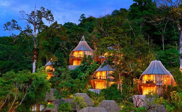 Les 10 meilleurs hôtels dans les arbres du monde